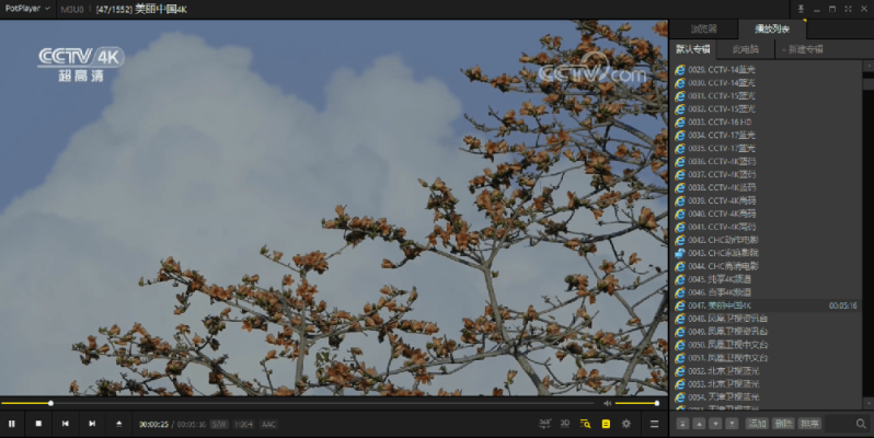 PotPlayer v1.7.2最新綠色版-1